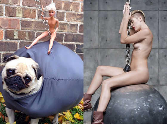 Pug Costume, Miley Cyrus, Wrecking Ball Pug Costume, Miley Cyrus, Wrecking Ball